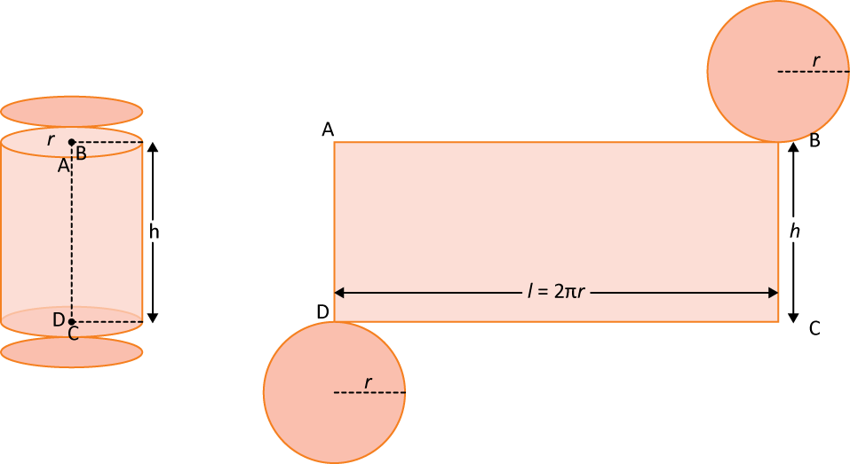Curved Surface Area of Cylinder Derivation, Formula and Examples